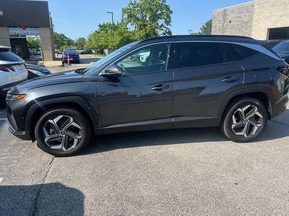 HYUNDAI TUCSON 2023 5NMJECAE8PH274395 image