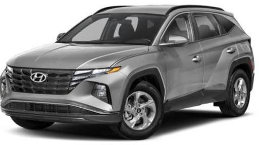 HYUNDAI TUCSON 2023 5NMJBCAE6PH230565 image