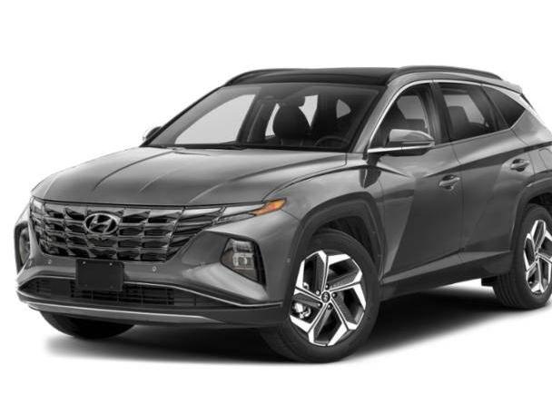 HYUNDAI TUCSON 2023 5NMJECAE8PH183241 image