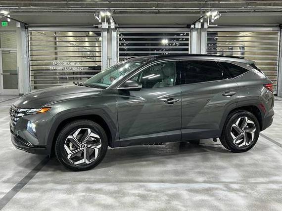 HYUNDAI TUCSON 2023 5NMJECAE1PH202275 image