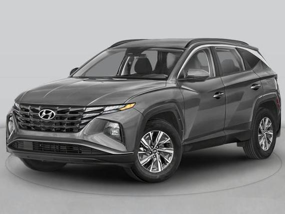 HYUNDAI TUCSON 2023 KM8JECA14PU135916 image