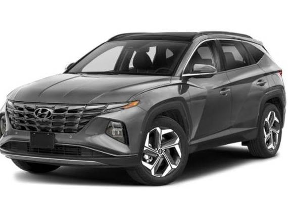 HYUNDAI TUCSON 2023 5NMJECAE8PH248959 image