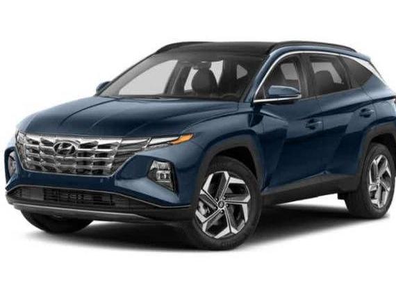 HYUNDAI TUCSON 2023 KM8JECA1XPU118554 image