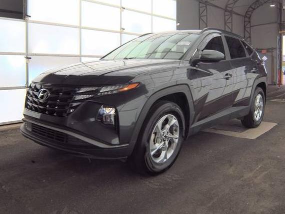 HYUNDAI TUCSON 2023 5NMJBCAE5PH260513 image