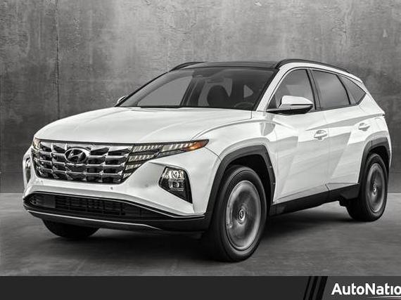 HYUNDAI TUCSON 2023 KM8JBDA29PU110047 image