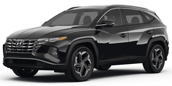 HYUNDAI TUCSON 2023 5NMJBCAE5PH168155 image