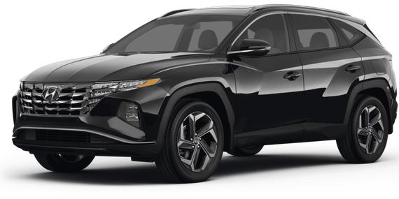 HYUNDAI TUCSON 2023 5NMJBCAE0PH162859 image