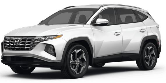 HYUNDAI TUCSON 2023 5NMJBCAE8PH184625 image