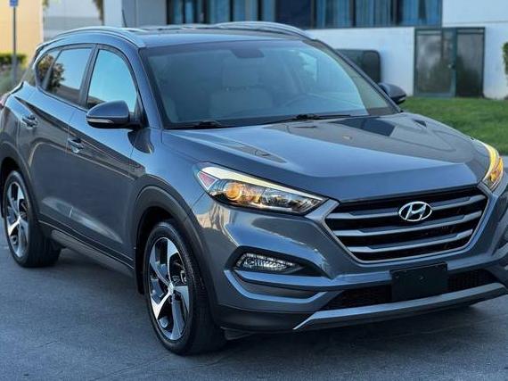HYUNDAI TUCSON 2016 KM8J33A27GU250749 image