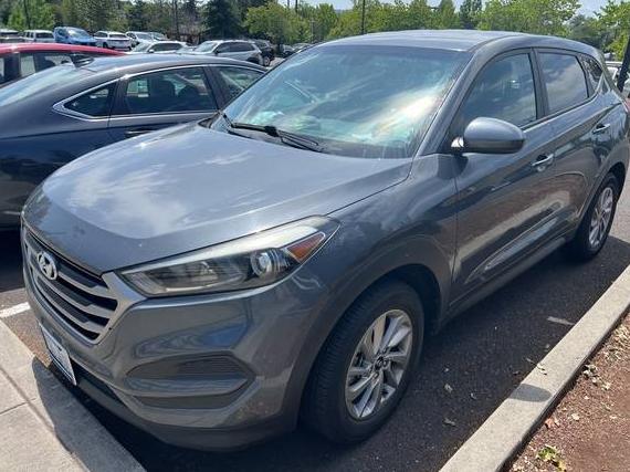 HYUNDAI TUCSON 2017 KM8J23A49HU447234 image