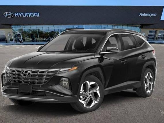 HYUNDAI TUCSON 2024 5NMJECDE6RH368502 image