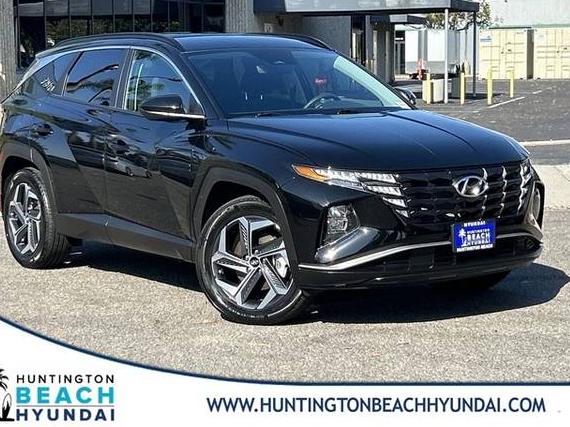 HYUNDAI TUCSON 2024 KM8JBDD23RU164250 image