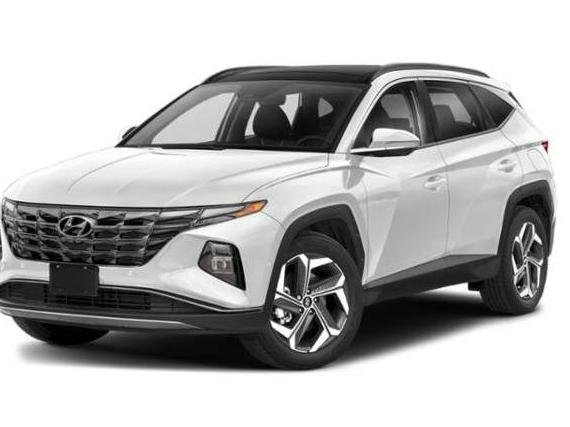 HYUNDAI TUCSON 2024 5NMJECDEXRH301692 image