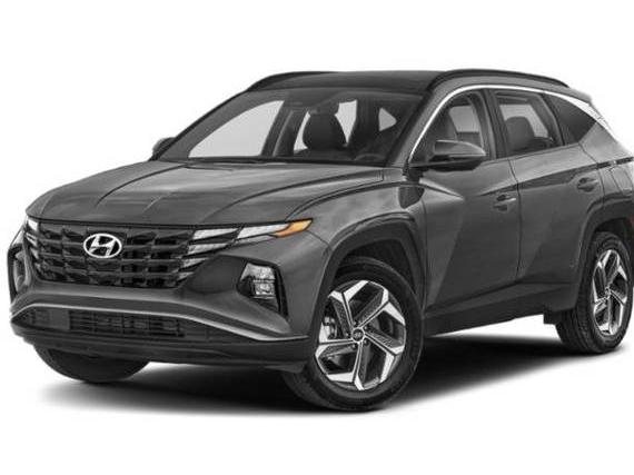 HYUNDAI TUCSON 2024 KM8JCCD13RU156633 image
