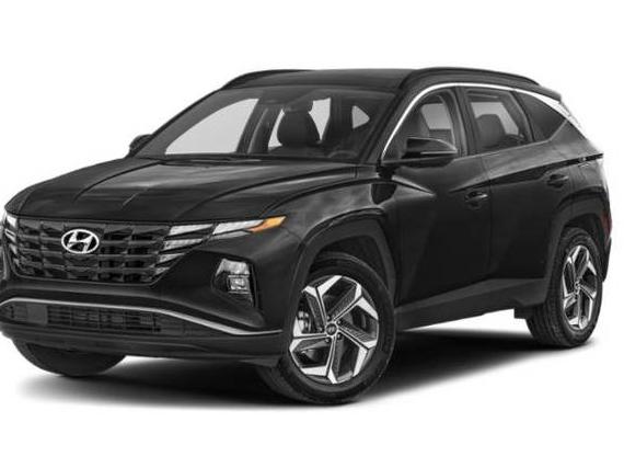 HYUNDAI TUCSON 2024 KM8JCCD10RU186124 image