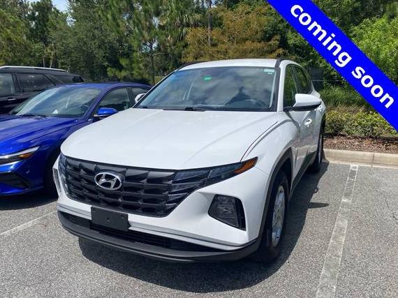 HYUNDAI TUCSON 2024 5NMJB3DE2RH384463 image