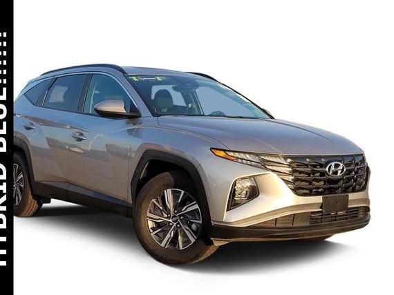 HYUNDAI TUCSON 2024 KM8JBCD14RU210962 image
