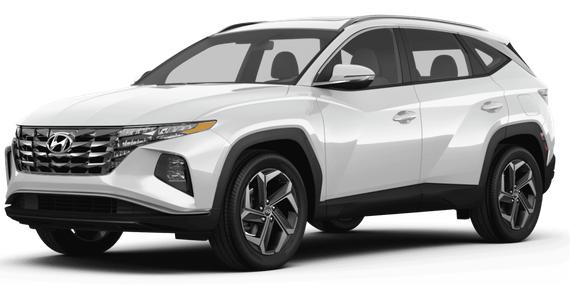 HYUNDAI TUCSON 2024 5NMJBCDE6RH410448 image