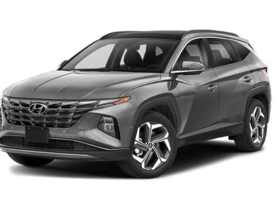 HYUNDAI TUCSON 2024 5NMJECDE2RH389203 image