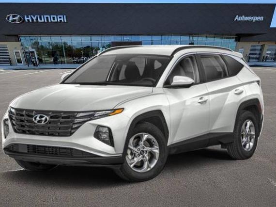 HYUNDAI TUCSON 2024 5NMJBCDE4RH298653 image