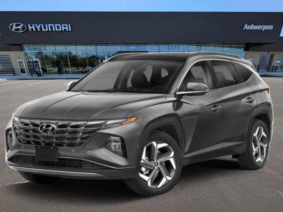 HYUNDAI TUCSON 2024 5NMJECDE4RH367221 image