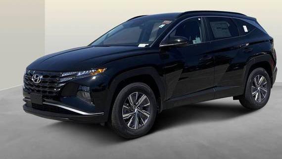 HYUNDAI TUCSON 2024 KM8JBCD14RU205292 image