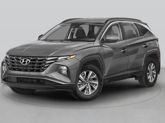 HYUNDAI TUCSON 2024 KM8JCCD10RU163796 image