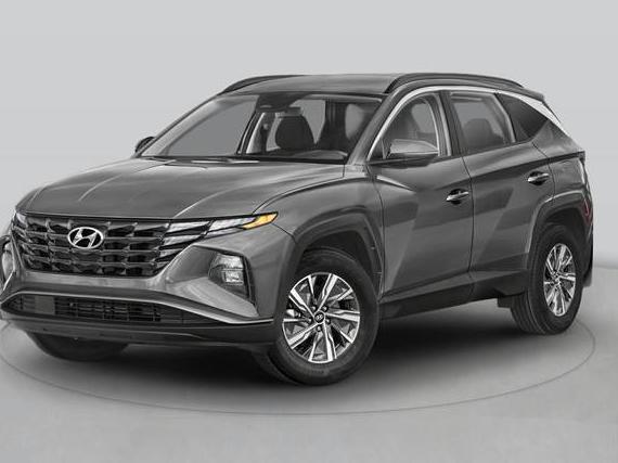 HYUNDAI TUCSON 2024 KM8JECD16RU149072 image