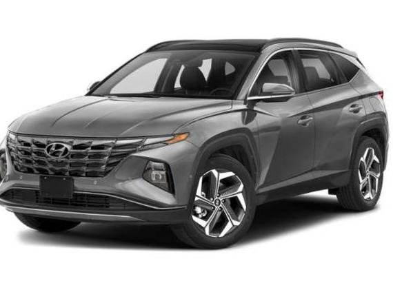 HYUNDAI TUCSON 2024 5NMJECDE5RH385632 image