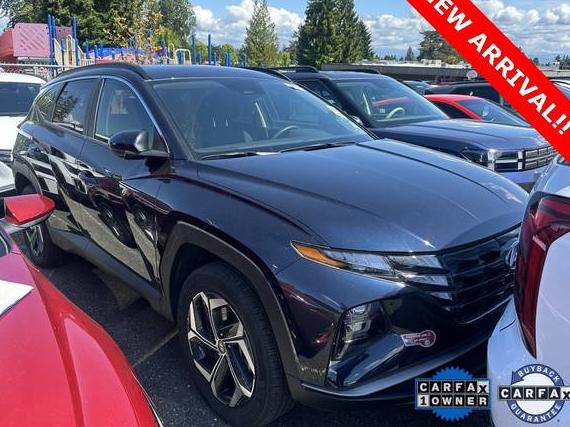 HYUNDAI TUCSON 2024 KM8JBDD29RU195602 image