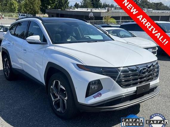 HYUNDAI TUCSON 2024 KM8JBDD29RU216626 image