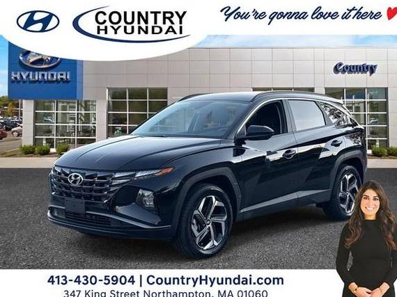 HYUNDAI TUCSON 2024 KM8JBDD27RU205270 image