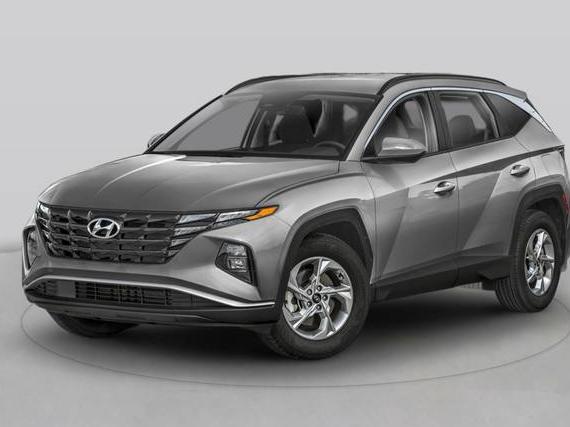 HYUNDAI TUCSON 2024 5NMJE3DE2RH410227 image