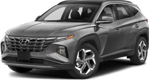 HYUNDAI TUCSON 2024 5NMJE3DE6RH346323 image