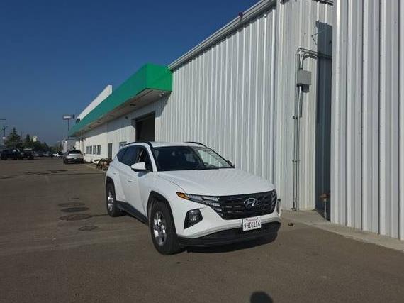 HYUNDAI TUCSON 2024 5NMJB3DE7RH299005 image