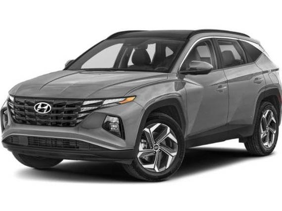 HYUNDAI TUCSON 2024 KM8JCCD14RU174266 image