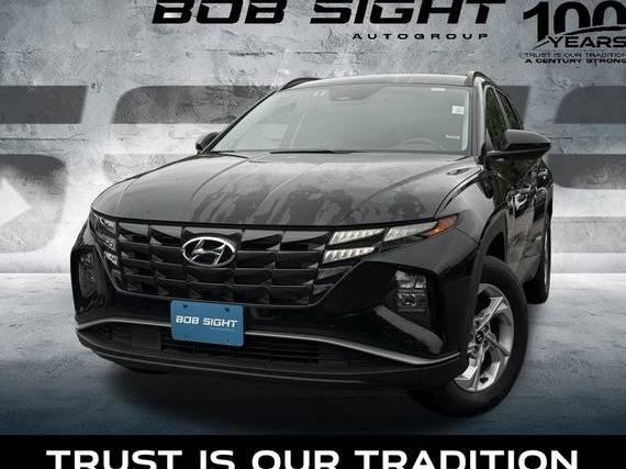 HYUNDAI TUCSON 2024 5NMJBCDE2RH387525 image