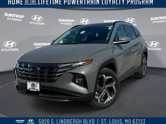 HYUNDAI TUCSON 2024 5NMJECDE5RH306380 image