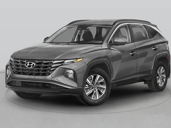 HYUNDAI TUCSON 2024 KM8JCCD14RU246261 image