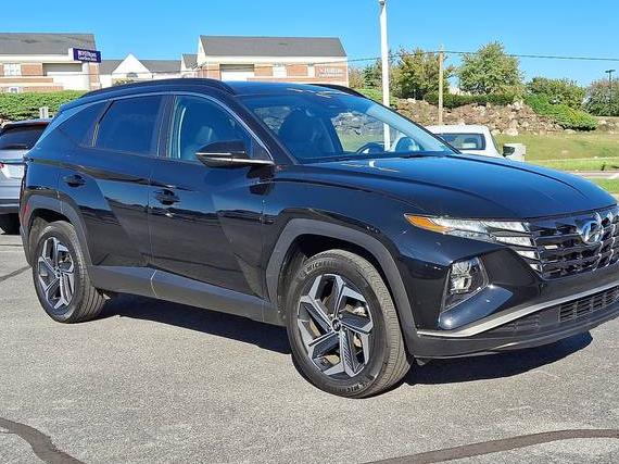 HYUNDAI TUCSON 2024 KM8JCCD18RU190583 image HYUNDAI TUCSON 2024 KM8JCCD18RU190583 image