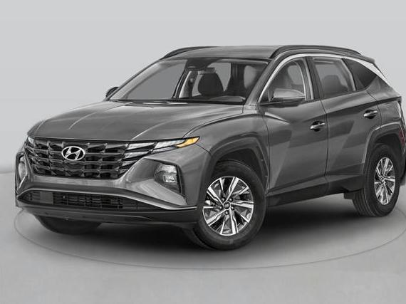 HYUNDAI TUCSON 2024 KM8JECD13RU183146 image