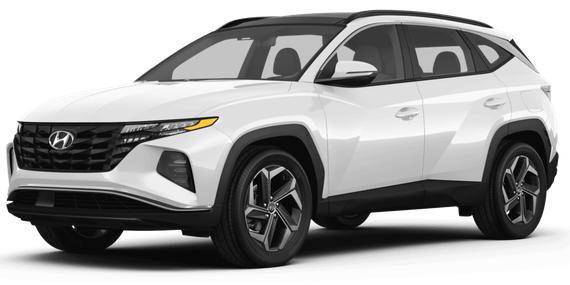 HYUNDAI TUCSON 2024 KM8JCCD19RU246336 image