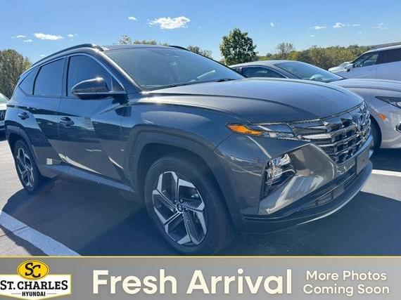 HYUNDAI TUCSON 2024 KM8JECD12RU155905 image