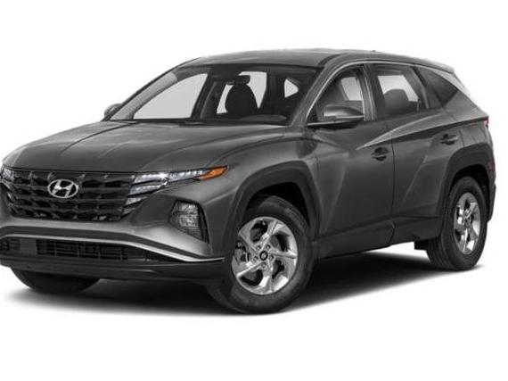 HYUNDAI TUCSON 2024 5NMJACDE8RH325369 image