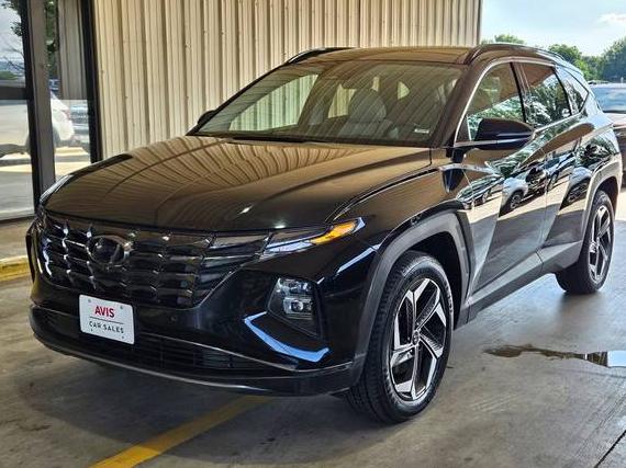 HYUNDAI TUCSON 2024 5NMJECDE7RH299559 image