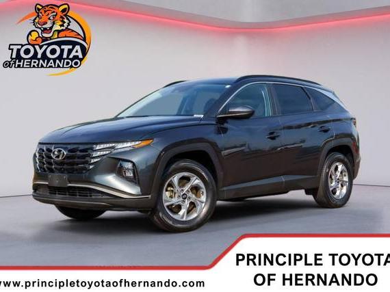 HYUNDAI TUCSON 2024 5NMJBCDE7RH343018 image