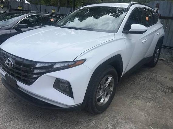 HYUNDAI TUCSON 2024 5NMJB3DE6RH386281 image