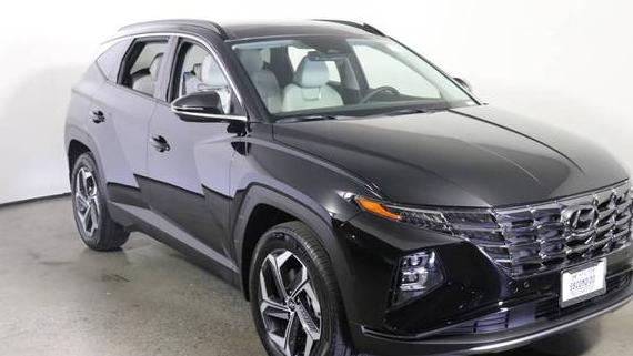 HYUNDAI TUCSON 2024 KM8JECD19RU216439 image