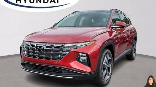 HYUNDAI TUCSON 2024 5NMJECDE8RH437352 image