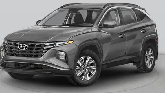 HYUNDAI TUCSON 2024 KM8JECD15RU238146 image